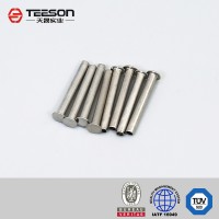 Stainless Steel Solid or Hollow Rivet